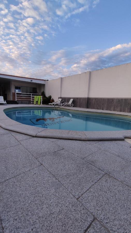 Casinha Das Bonecas - Casa Com Piscina Privada Aveiro Esterno foto